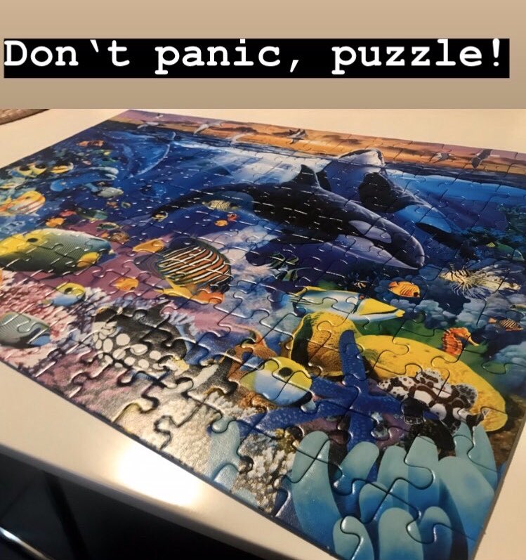 Don‘t panic, puzzle!