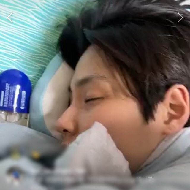 best_no_4's tweet photo. 왜 나 바빠 죽겟을때 이르케 기여운 짤들 남기셧는지.. 해명해요 곰돌 https://t.co/JRLAj7n0yy