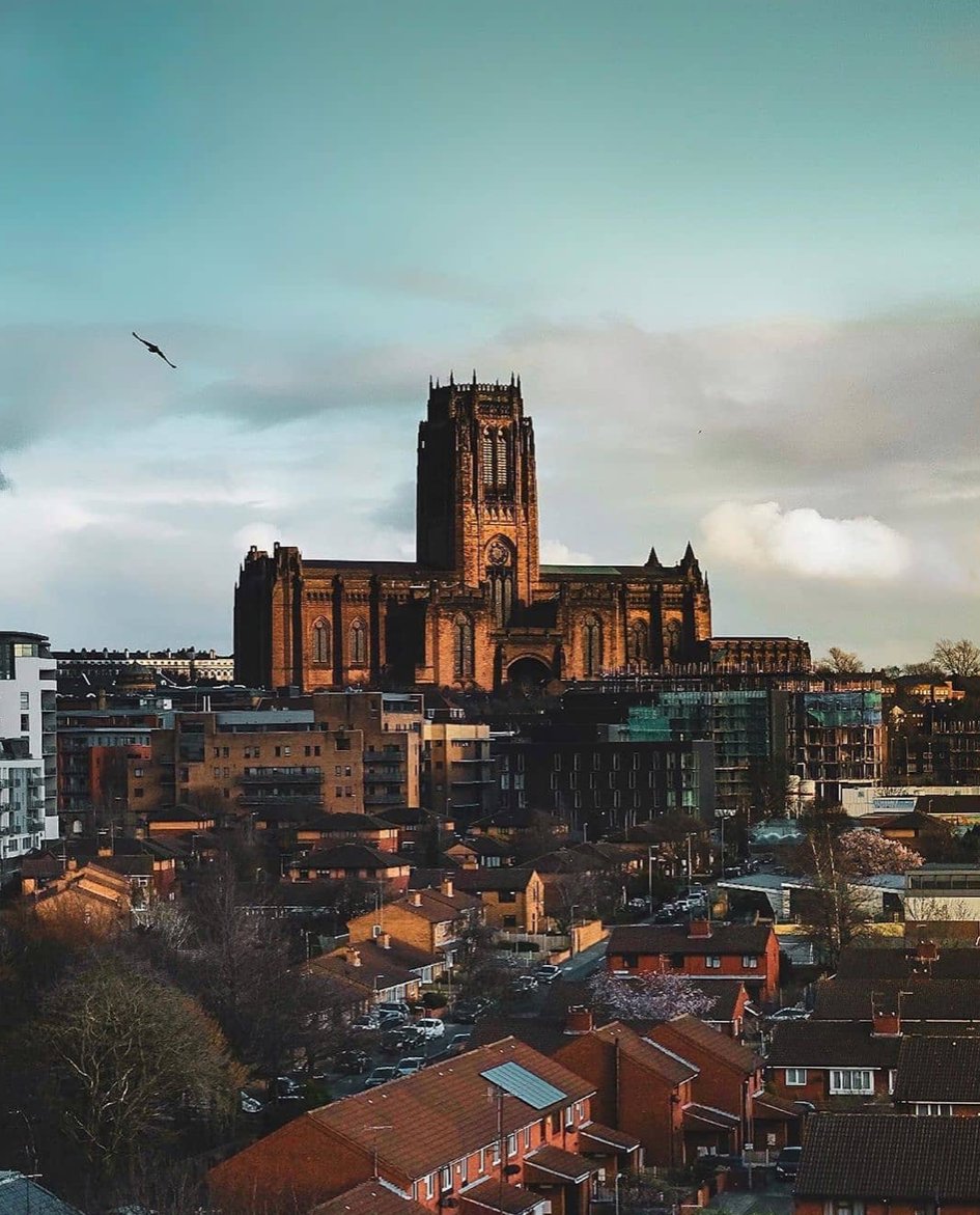 OttomanLvp's tweet photo. Quiet night in? Make it complete with delicious Turkish takeaway from Ottoman! PH: @billstarlingphoto
.
.
.
#liverpool #bestcity #photography #liverpoolphotography #turkishfood #loveliverpool #liverpool #liverpoolphotography #loveliverpool #dinner #liverbird #turkishtakeaway https://t.co/CcbTdAQYyG