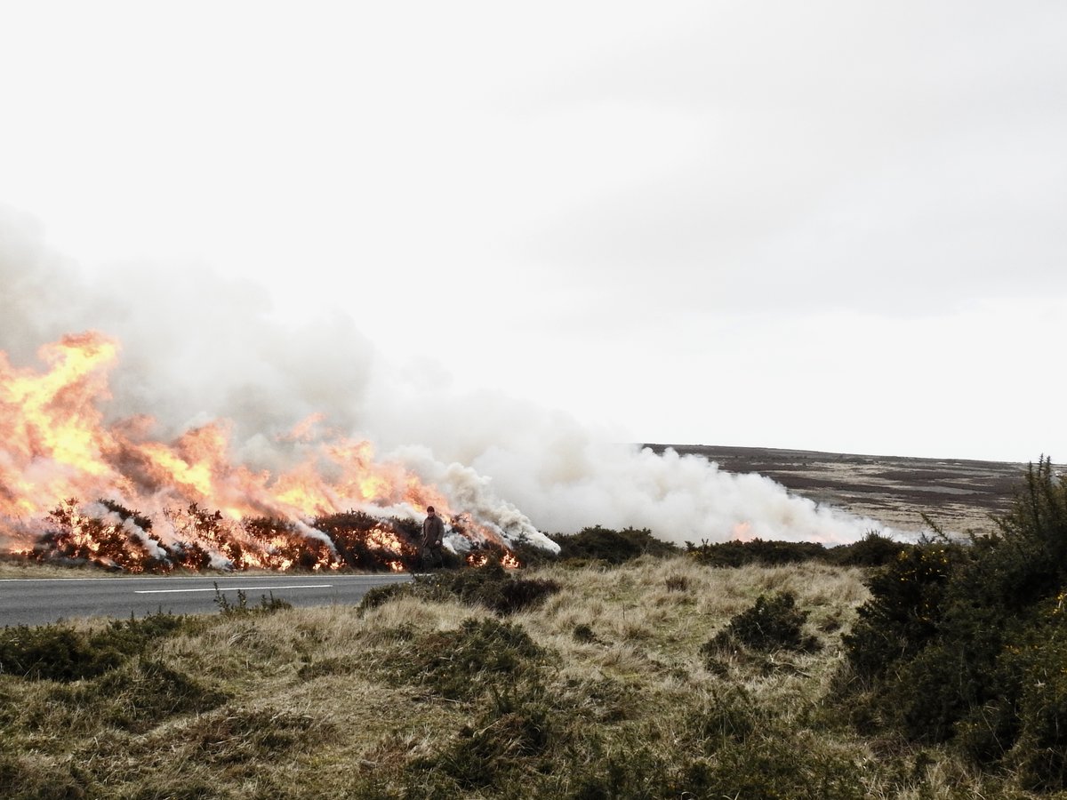 Neil Simms tweet media