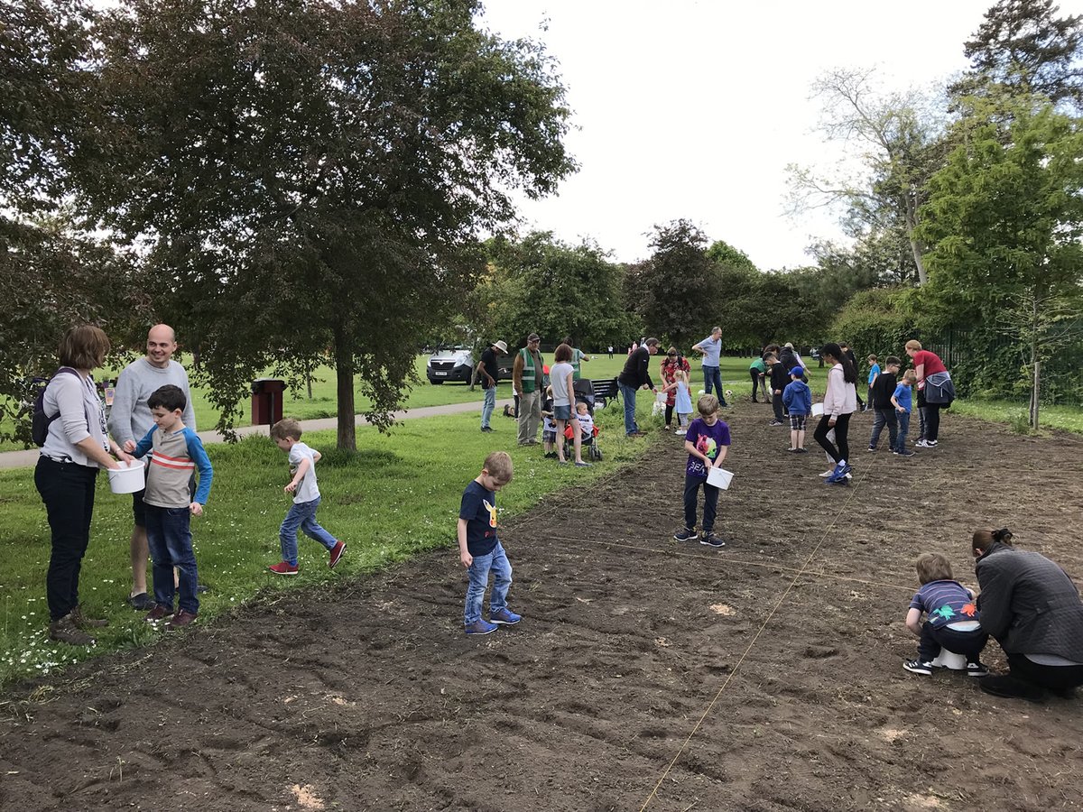 Weybridge In Bloom Invite You To Meadow Planting At Churchfields Recreation
allaboutweybridge.co.uk/weybridge-in-b…