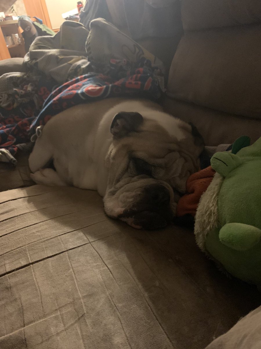 Colin Bisinger tweet media