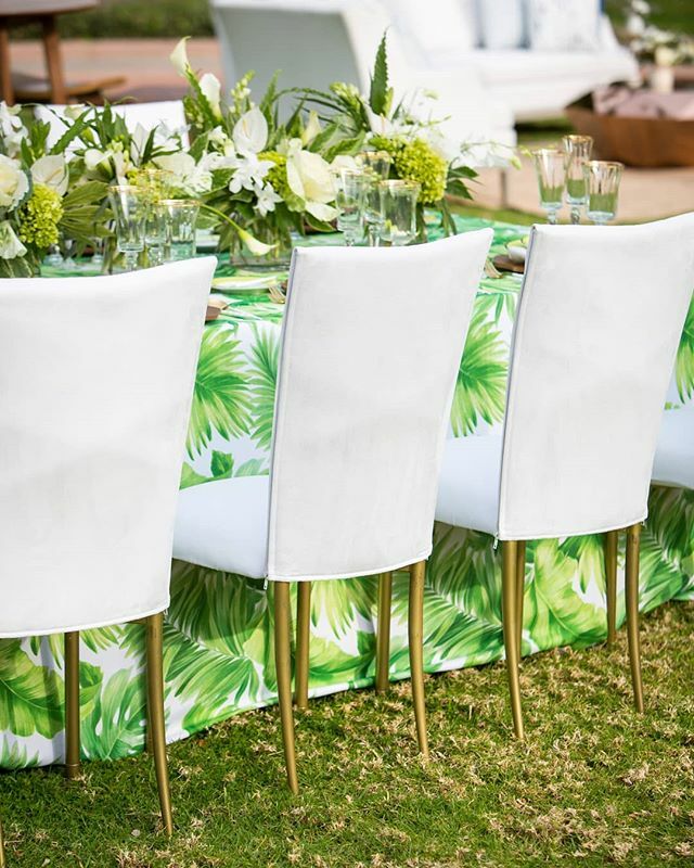 Chameleon Chair tweet media