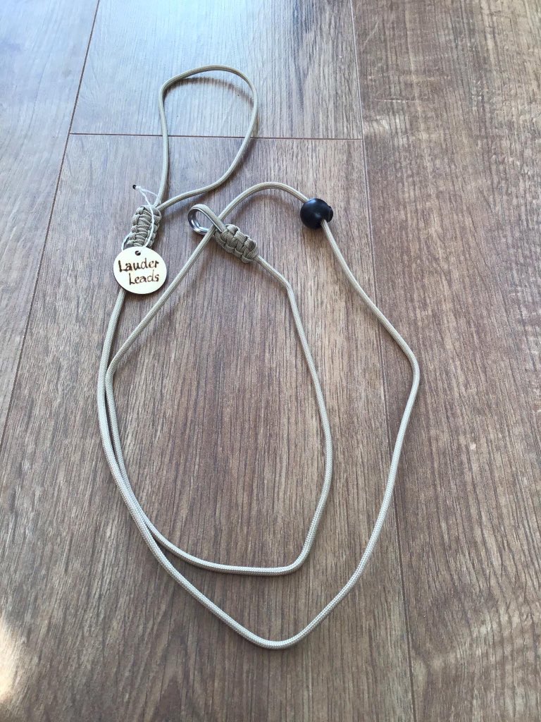 lauderleads's tweet photo. Simple training lead, now available to order in a large range of colours, 
With thanks to @LammermuirGundogs for their input in the design and testing #gundogtraining #gundog #Spaniels #cockers #labradorretrievers https://t.co/i3Hi00ZoHD