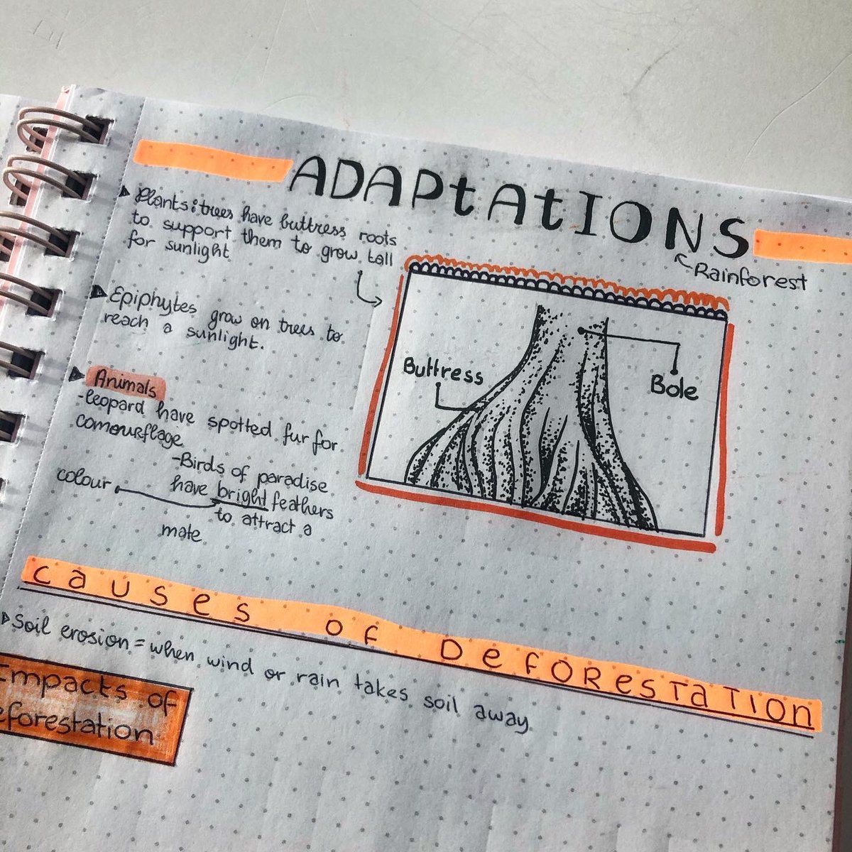 mrcleggg's tweet photo. Beautiful revision notes in Geography Club on Thursday! Our environmental awareness flyers are almost finished, and there is now going to be a Geography Club mascot - Lenny Bushman 🌱🌳 love these kids #geography #extracurricular #revision 🌍 https://t.co/4BgsSUUHKs