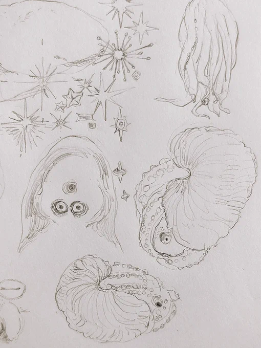 (息抜き) 