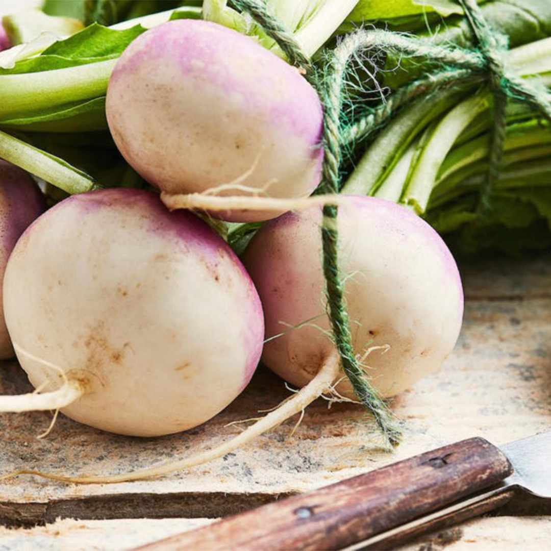 FranckTerras's tweet photo. Est-il encore nécessaire de vous rappeler les vertus médicinales de certains légumes comme le navet. On n'a plus le droit de les citer mais ceux qui en consomment régulièrement le savent bien. Voici comment l’accommoder... #fourchettepower https://t.co/nmGfXPE7oH https://t.co/0t0RTIY3dL