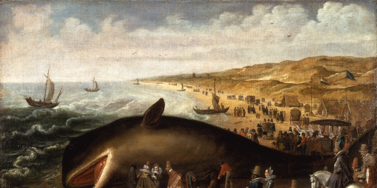 Whale Watching: Exchange Data Contained Early Warning of Thursday’s Bitcoin Dump twib.in/l/aGE8dnXr46G6 via @coindesk