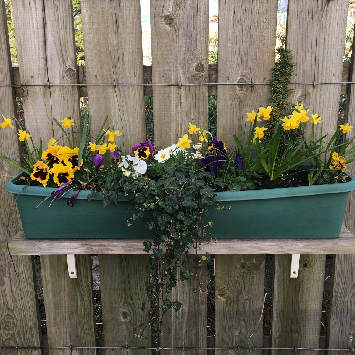 MK_Model_Rail's tweet photo. Our station adoption with @LNRailway at Bletchley is giving passengers a flower display to brighten their day! https://t.co/7DtLX4zCtt