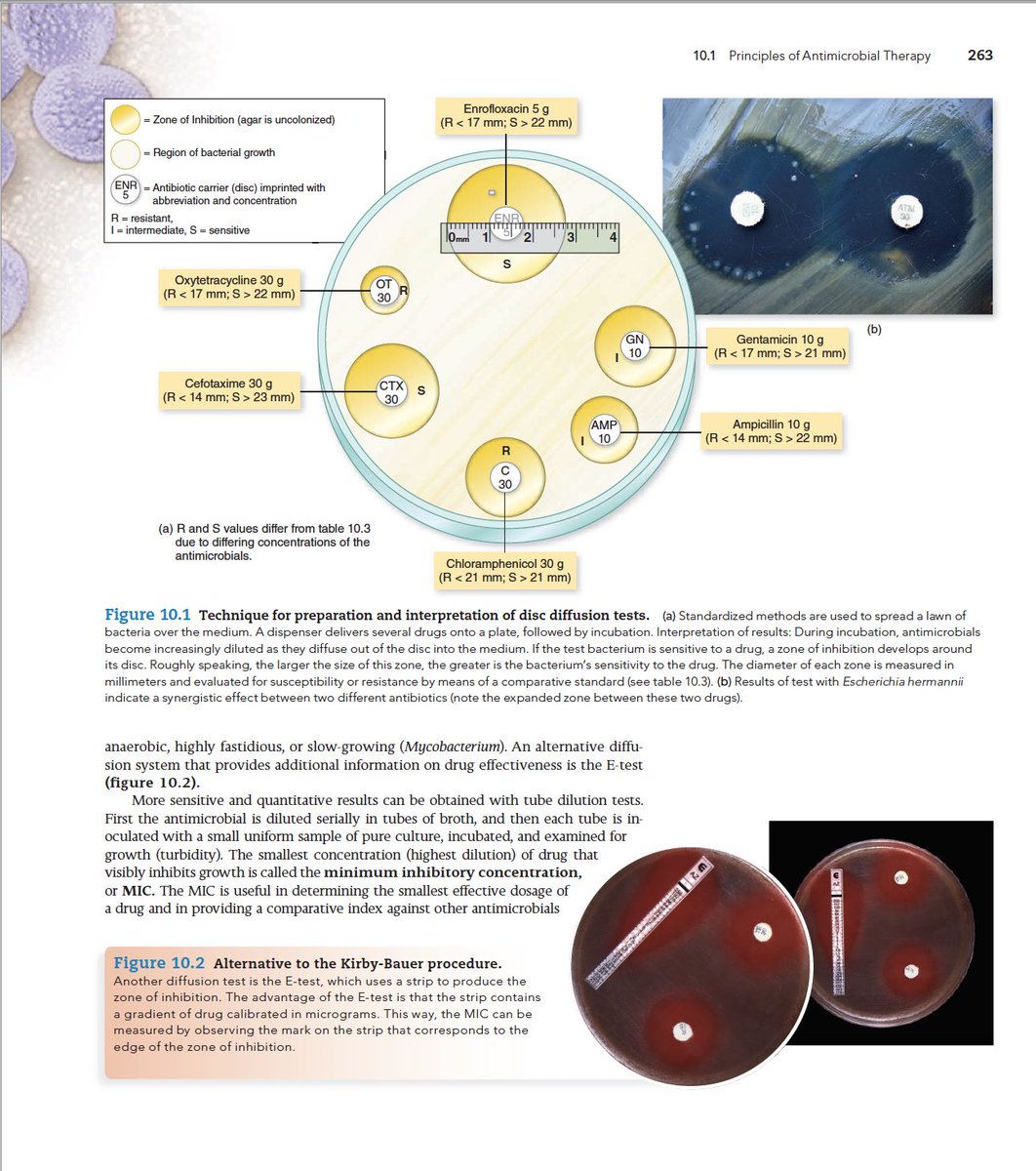 LaboZone's tweet photo. Microbiology Fundamentals A clinical Approach 
كتاب رائع وغير ممل اثناء القراءة ويتكلم عن البكتيريا ومدى تأثيرها على الجسم وطرق انتقال العدوى من خلال تشخيصها   
والشرح عبر الصور 😍

🛑ملاحظة: حجم الملف كبير جدا يفضل فتحه بالكمبيوتر.

 عبر الرابط:https://t.co/cbiUqm9xfi https://t.co/5cw16GWnlh