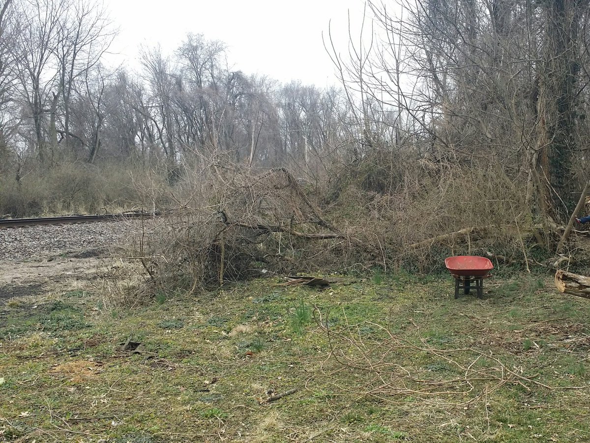 Woo hoo the weather is somewhat cooperating of late so yard work is going again!This is the North-west corner of the property, total input time is about five hours so farFrom the old down tree I have about another twety feet to clear then I can turn East