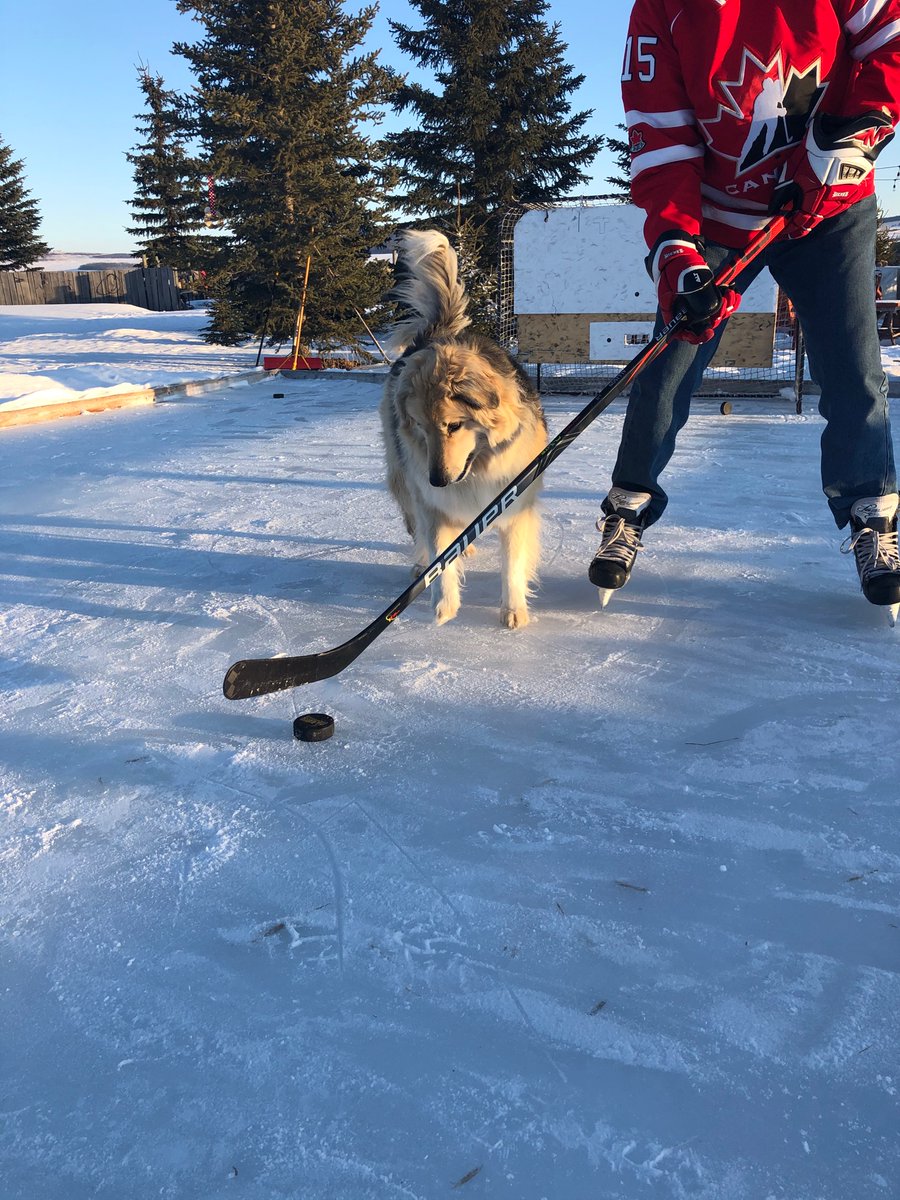 AcadiaKinger75's tweet photo. Home of the 2020 Frozen Four. Tickets Not Available. Just bring dog treats. #EberleTheDog #BroncoFan @TheNCHC @ecachockey @WMUHockey #QuickPaws #FilthyMits https://t.co/R2ORQCVlCK