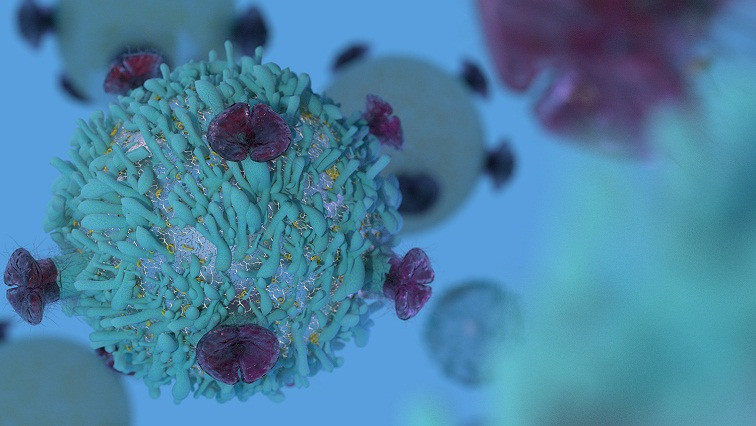 StatNano's tweet photo. Frontier IPโs Investee Secures โฌ140,000 to Develop Graphene-enabled Scanning Microscope
https://t.co/kh7HUbvhD2
#Frontier_IP #Graphene #Scanning_Microscope #Cambridge_Raman_Imaging_Ltd #microscope #cancer_cell #StatNano #Nanotechnology #StatNano #NBIC #technology https://t.co/GY1YDdQJxI