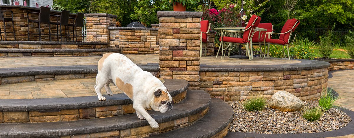 CKCLandscaping's tweet photo. Product Spotlight ๐ #EPHenry Cast Stone. If you are thinking walls or steps this is a must see. Click here for a free consultation https://t.co/TbEN1jvprH
#CKCLandcaping #CastStoneWall #BeautifulWall
#OutdoorLiving #PaverPatio https://t.co/mrAHxuzbqI
