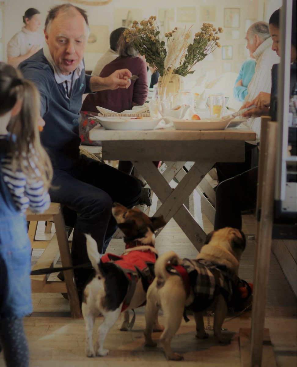 At De Koffie Pot, we're dog-friendly inside and out 🐶 top off walkies with a coffee or something to eat and bring your furry friends along! ♥️

Visit our website: herefordleftbank.com

#dogfriendlyhereford #hereforddogs #herefordindepentent #riverwye #riverside #riverwye