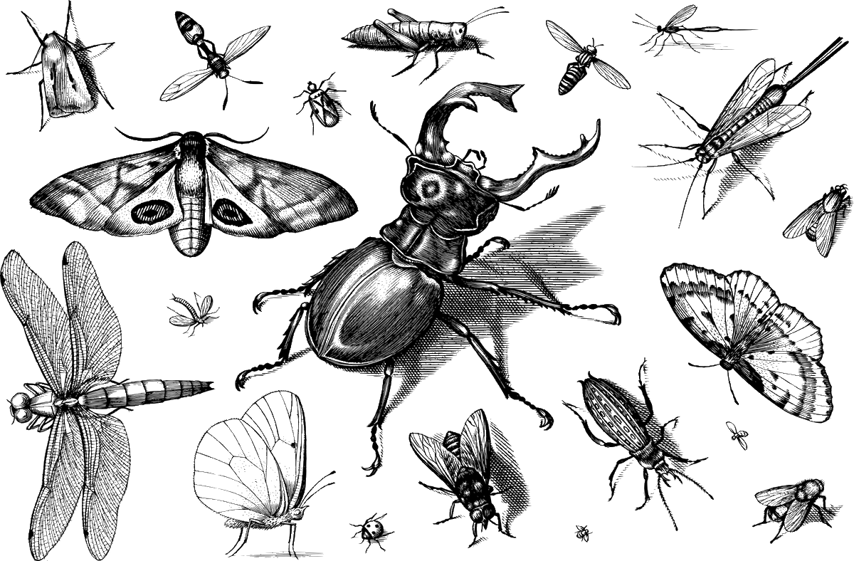 rhdevelopers's tweet photo. Possible issues with #debugging and inspecting compiler-optimized binaries. #GCC #GDB #SystemTap #DWARFdebug https://t.co/S0jo24dC9Z https://t.co/xAJfPFywzO