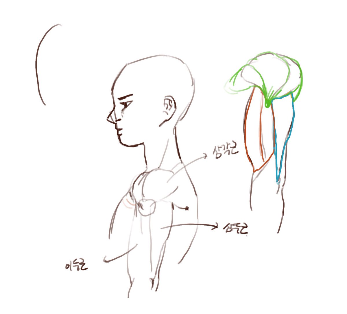 방송 그림 2 