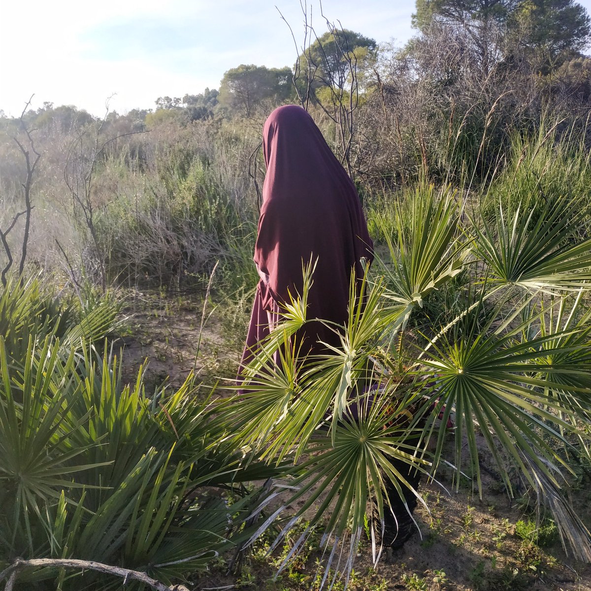MOUHAJIROUN's tweet photo. Une petite sœurette derrière un petit palmier avec un #khimar #jamila prune et une #abaya #zahra beige Taille S pour profiter pleinement de la nature toute en étant #mastoura et tout cela c'est confectionné, emballé et distribué par vos #ukhtis de votre marque 👉 ✨ @mouhajiroun https://t.co/xCYaczQbLf