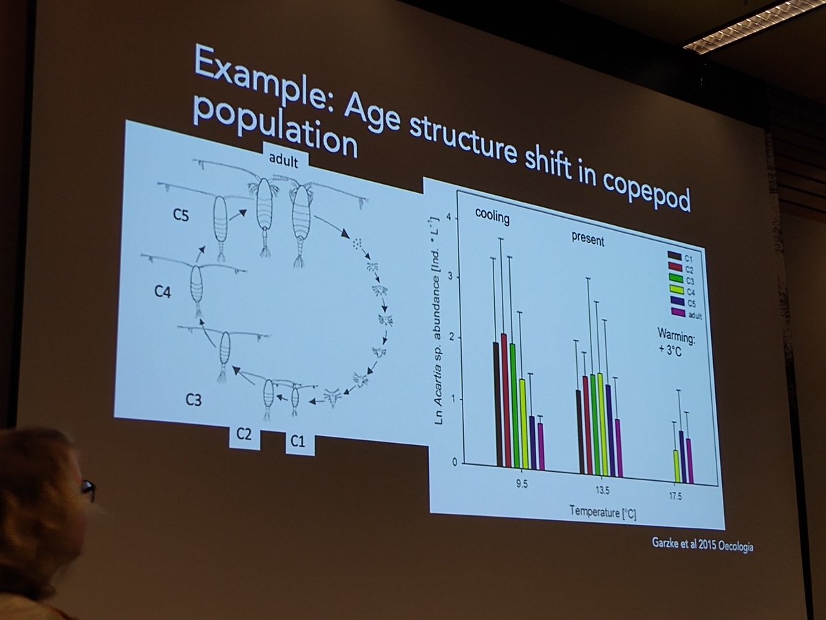UBCoceans's tweet photo. Age structure in copepods populations change with warming because of increased mortality. @jess_garzke
#IOFSeminar #warming https://t.co/4zPTdRnDPH