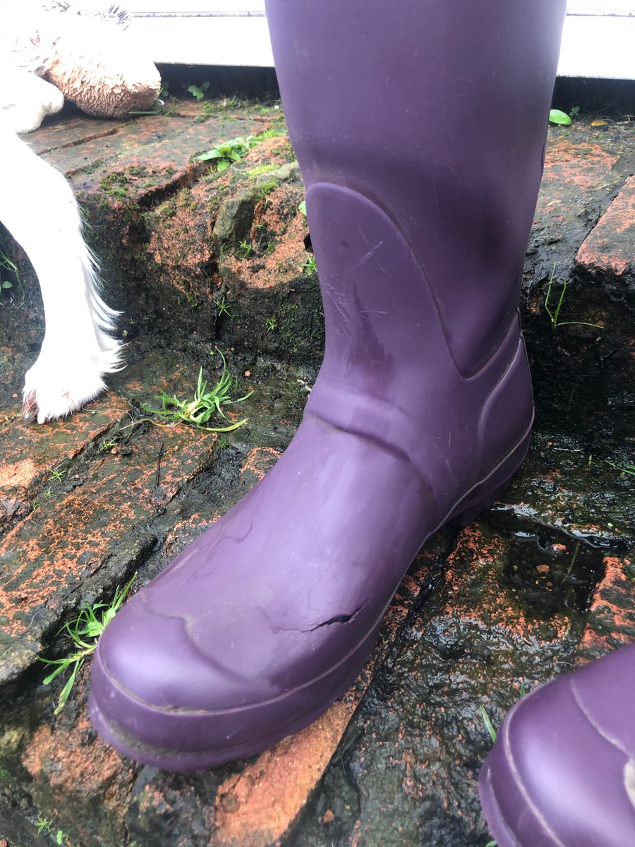 ginacookie97's tweet photo. @HunterBoots I got these wellies at Christmas and absolutely adore them! Unfortunately, they have worn down very quickly, forming holes and rips along the seams. They now let water in. Massive shame considering the price and the fact I’ve only had them for 3 months! https://t.co/dAaW0uNtgS