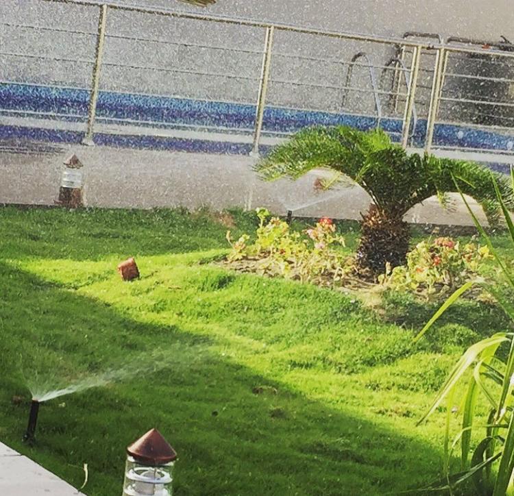 مكتب بن جرفان tweet media