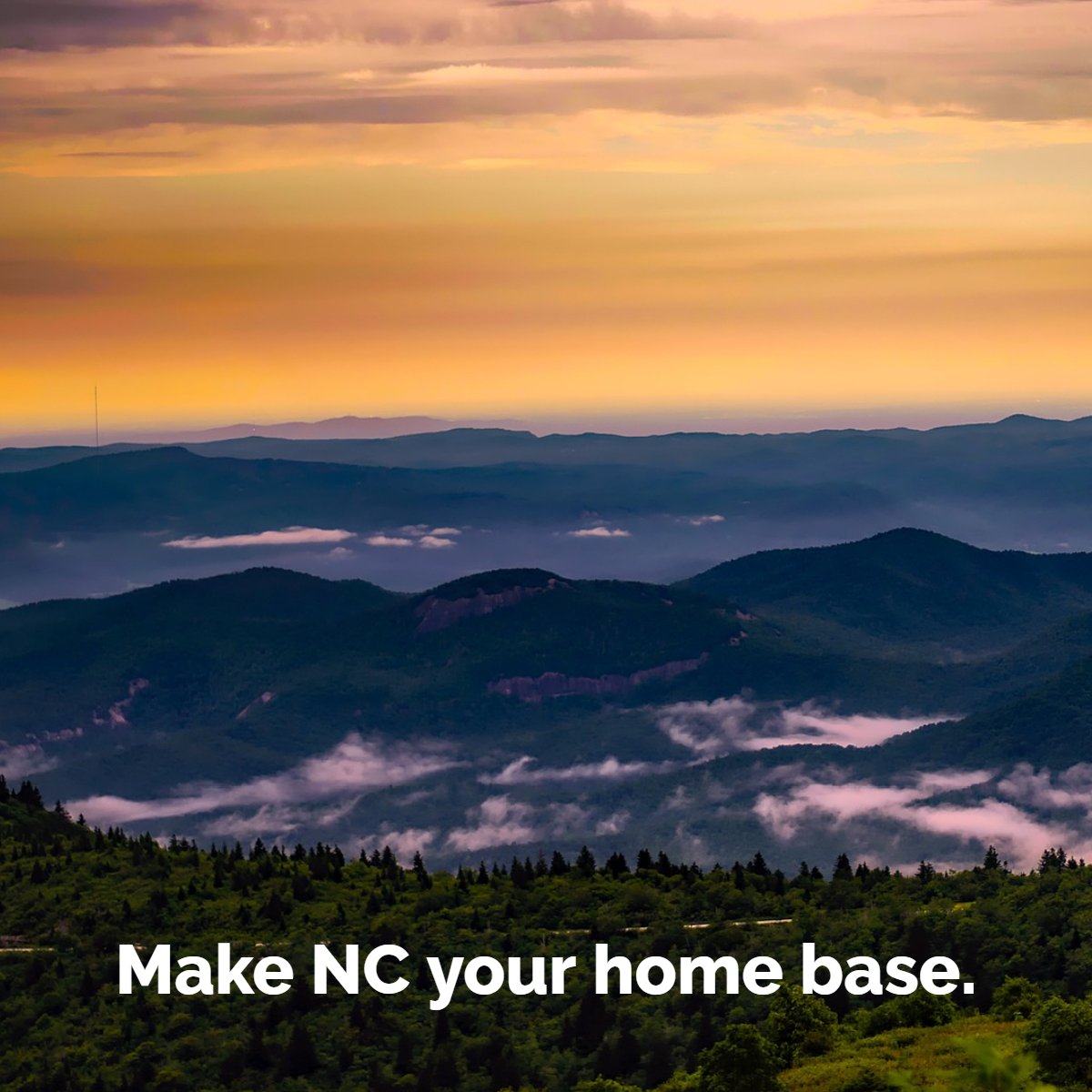 Nestled between the beach and the mountains, there's a lot to love about living in Durham -- I can't wait to show you!