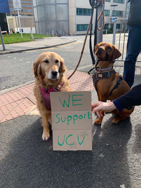 huducu's tweet photo. Even the Dogz of Huddersland are on our side!  #UCUstrike #UCUstrikesback #FourFights #itsacryanshame https://t.co/evRQR14i3I
