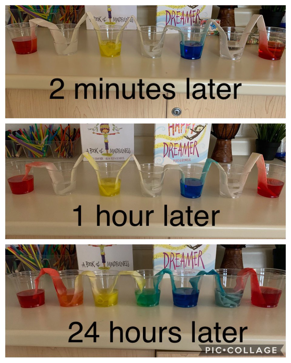 K1_Fallingdale's tweet photo. We were so excited to see the changes from our colouring mixing experiment over the past couple of days 🌈 @FallingdalePS https://t.co/A8P2wGF6ju
