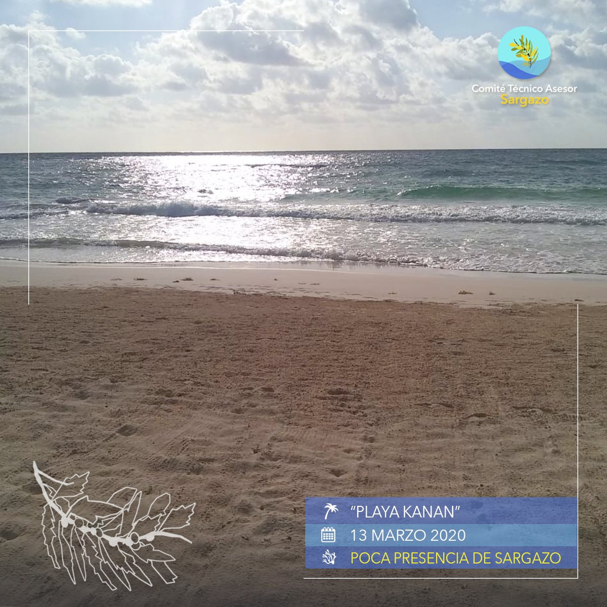 CTASargazo's tweet photo. #ReportePlayas 
Te compartimos el reporte del día, aquí algunas sugerencias de playas. #PlayasLimpias 🏝📷 13/marzo/2020 https://t.co/1Ds9h0DjDE