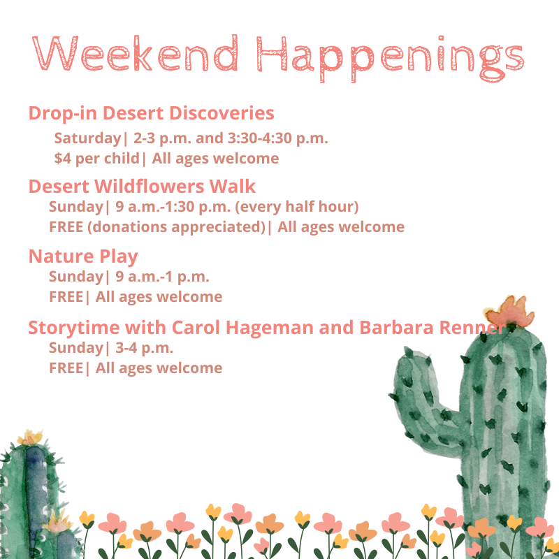 acnc_smeec's tweet photo. Spring is in the air. Enjoy the sunshine at #SMEEC this weekend with Desert Wildflowers Walk, Drop-in Desert Discoveries, Nature Play and Storytime. 

#WeekendHappenings #learn #explore #experience #SouthMountain https://t.co/1kxrO1aFF1