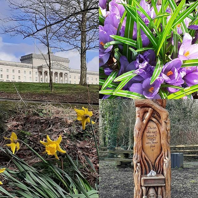BelfastIYP's tweet photo. A wee walk around @stormontestate. #springflowers #freshair #clearthemind https://t.co/bAL1HDfGjq https://t.co/hkb3TKTvle