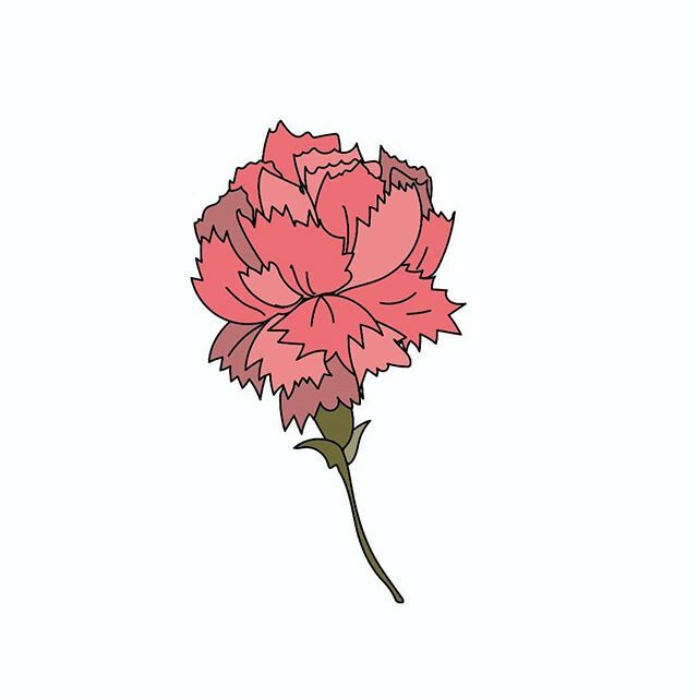 I just feel like posting a flower. For anyone who needs a pink #carnation today. It's #fridayafterall 🌼 #illustrationgram #carnation #friday ift.tt/2wZ9W6X