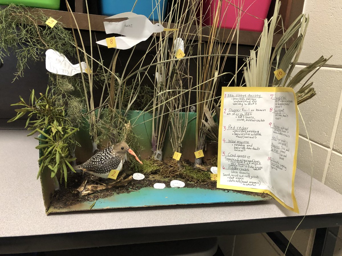 IsleOfHopeSTEaM's tweet photo. 7th grade students in Ms. Trowell’s classes researched then created an assortment of Biomes; they utilized many different types of materials and ensured that the flora and fauna were accurate. https://t.co/PIrBOYeUyQ