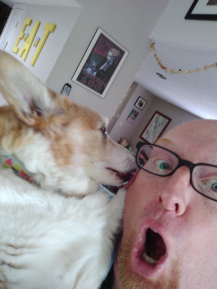 danbixby's tweet photo. @katewiththedogs @BlairBraverman Also, doggos aren't susceptible to the virus, so you can be social with your puppers!
Unfortunately this only makes me miss #GoBellaGo more, but to everyone else, love on your pups! https://t.co/caleXv3N23