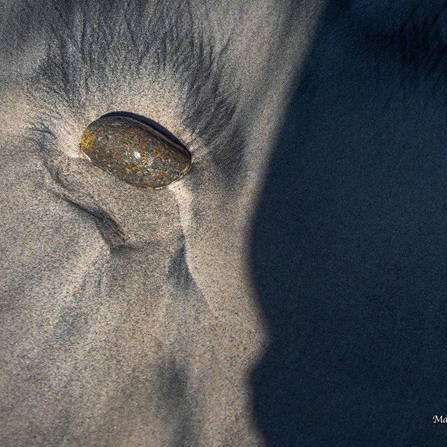 togetherinstyle's tweet photo. Faces in the sand. #fineart #photography on the #lumixgh5 and #Leica 45mm #macro Watch the story on #IGTV - @lumix @lumixusa @leicacamerausa #wherelumixgoes #maringvisuals #togetherinstyle #abstractart https://t.co/7nU0xf7AuY