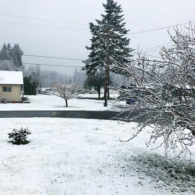 bre_rue's tweet photo. Woke up to a wonderful snowy scene this morning! #ruemanor #letitsnow https://t.co/SOaXO8XEWr https://t.co/g2s4HYxNRx