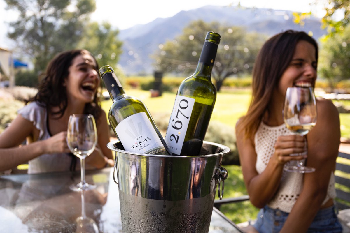 SaltaSecretos's tweet photo. En los jardines del hotel @altalaluna, la tarde estaba ideal para disfrutar de un blanco bien fresco. Finalmente fueron dos: un Tukma Gran Torrontés, con un sorprendente paso por madera, y un 2670 Sauvignon Blanc, originado en Huacalera, Jujuy. Brindis y risas en @BodegaTukma https://t.co/Zqvrq8QtfU