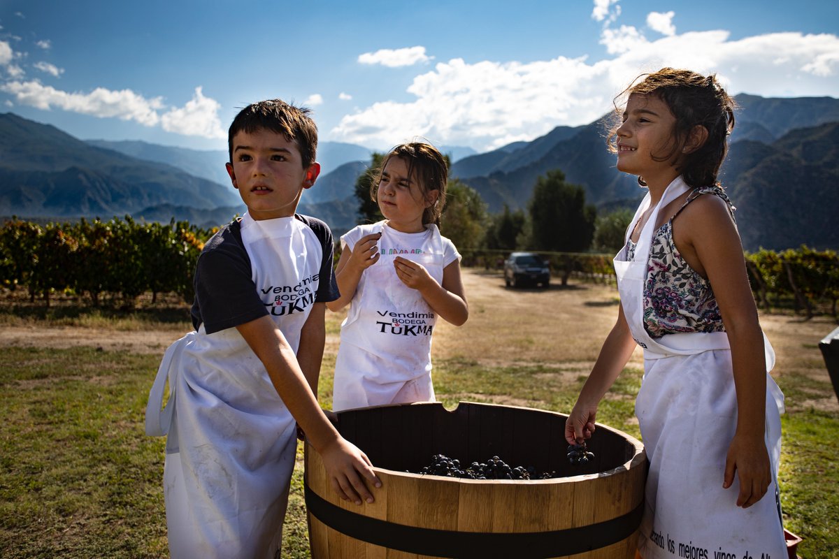 SaltaSecretos's tweet photo. VENDIMIA KIDS en @bodegatukma. Los chicos también se prendieron cuando llegó el momento de pisar las uvas que habíamos cosechado por la mañana. Con los viñedos y la sierra del Cajón como fondo, estos niños le pusieron onda y mucha energía a su barrica. @altalaluna @ladyfrenesi https://t.co/EyW1MaqSsb
