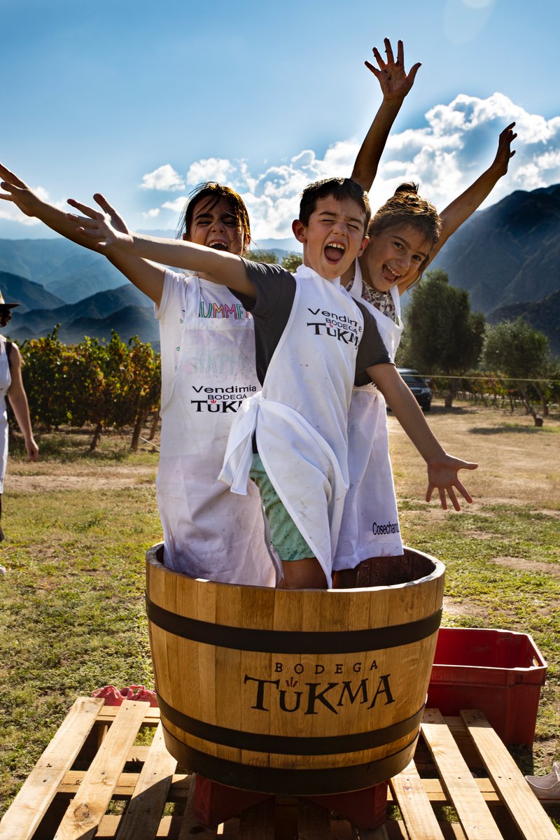 SaltaSecretos's tweet photo. VENDIMIA KIDS en @bodegatukma. Los chicos también se prendieron cuando llegó el momento de pisar las uvas que habíamos cosechado por la mañana. Con los viñedos y la sierra del Cajón como fondo, estos niños le pusieron onda y mucha energía a su barrica. @altalaluna @ladyfrenesi https://t.co/EyW1MaqSsb
