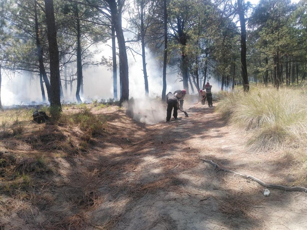 PoliciaSsc's tweet photo. La Policía de Montaña de la #SSCTLX, al realizar recorridos de seguridad y vigilancia, ubican de una columna de humo, trasladándose al paraje conocido como “Los Arbolitos”, sofocando el incendio en coordinación con #CGETLX, con técnicas de brecha corta fuego
#PorUnTlaxcalaSeguro https://t.co/PT0YCgEIqz