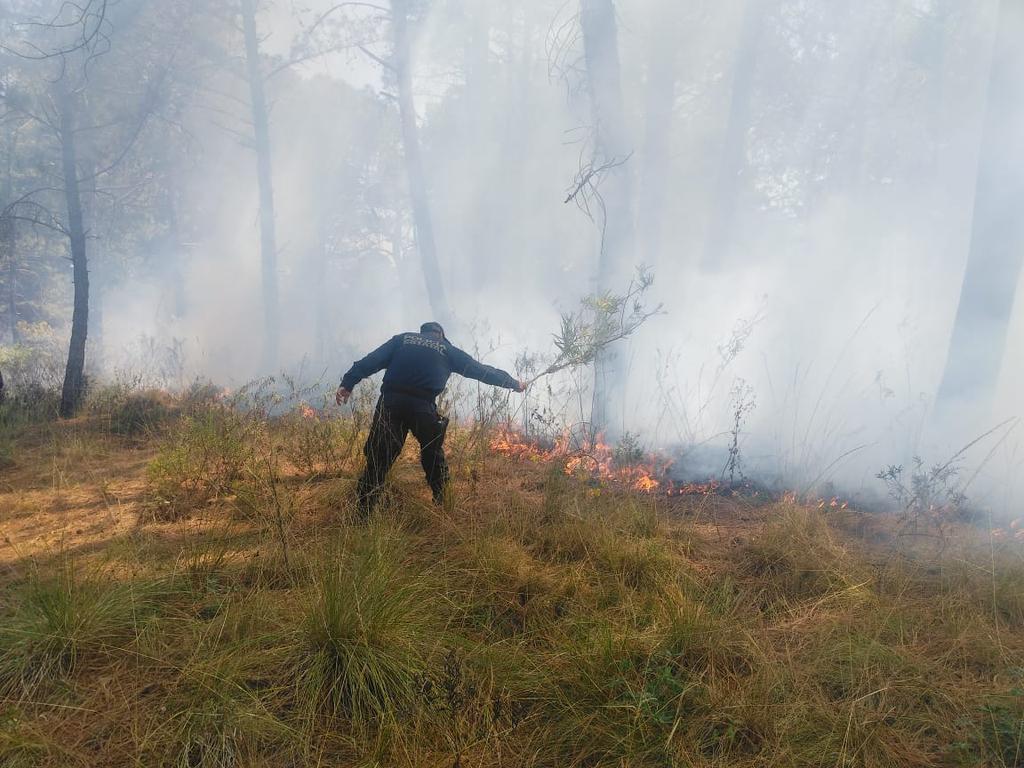 PoliciaSsc's tweet photo. La Policía de Montaña de la #SSCTLX, al realizar recorridos de seguridad y vigilancia, ubican de una columna de humo, trasladándose al paraje conocido como “Los Arbolitos”, sofocando el incendio en coordinación con #CGETLX, con técnicas de brecha corta fuego
#PorUnTlaxcalaSeguro https://t.co/PT0YCgEIqz