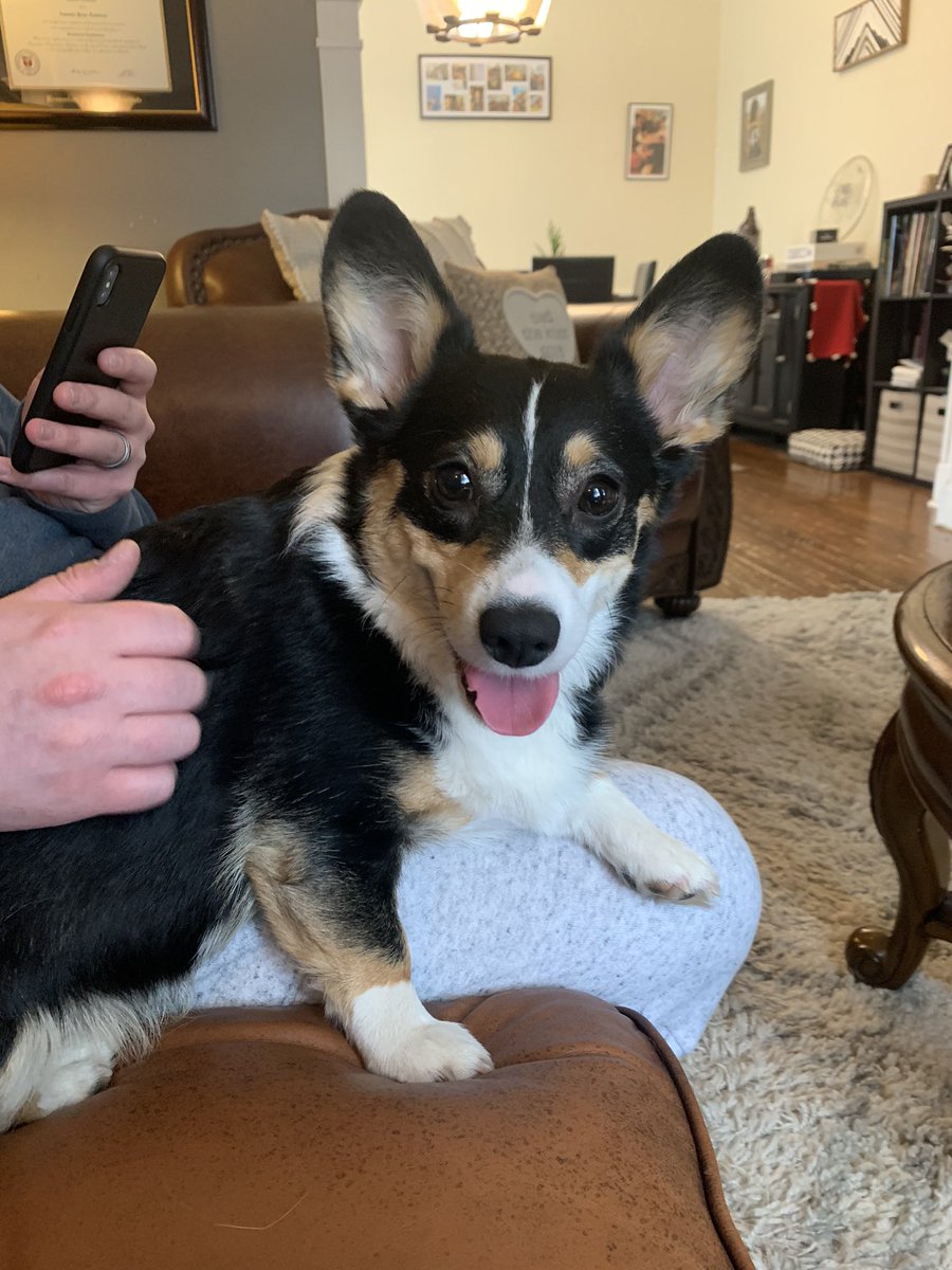 Lambrosss's tweet photo. @nickbayside Shea, hanging with her dad 😁 https://t.co/XGbz6aGUuq