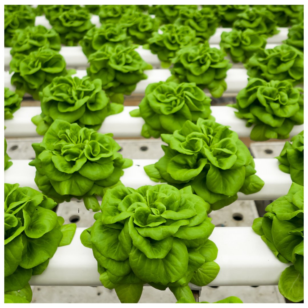 Creative Events Co (@creativeeventsc) on Twitter photo “have created these boxes as I feel something like this would have helped me at the start of my journey. These recipe mixes are staples within my diet and allow me to cook/bake delicious food quickly.” buff.ly/39IRT3s <a href="/PlantFacedFoods/">PlantFacedFoods</a> “have created these boxes as I feel something like this would have helped me at the start of my journey. These recipe mixes are staples within my diet and allow me to cook/bake delicious food quickly.” buff.ly/39IRT3s <a href="/PlantFacedFoods/">PlantFacedFoods</a>