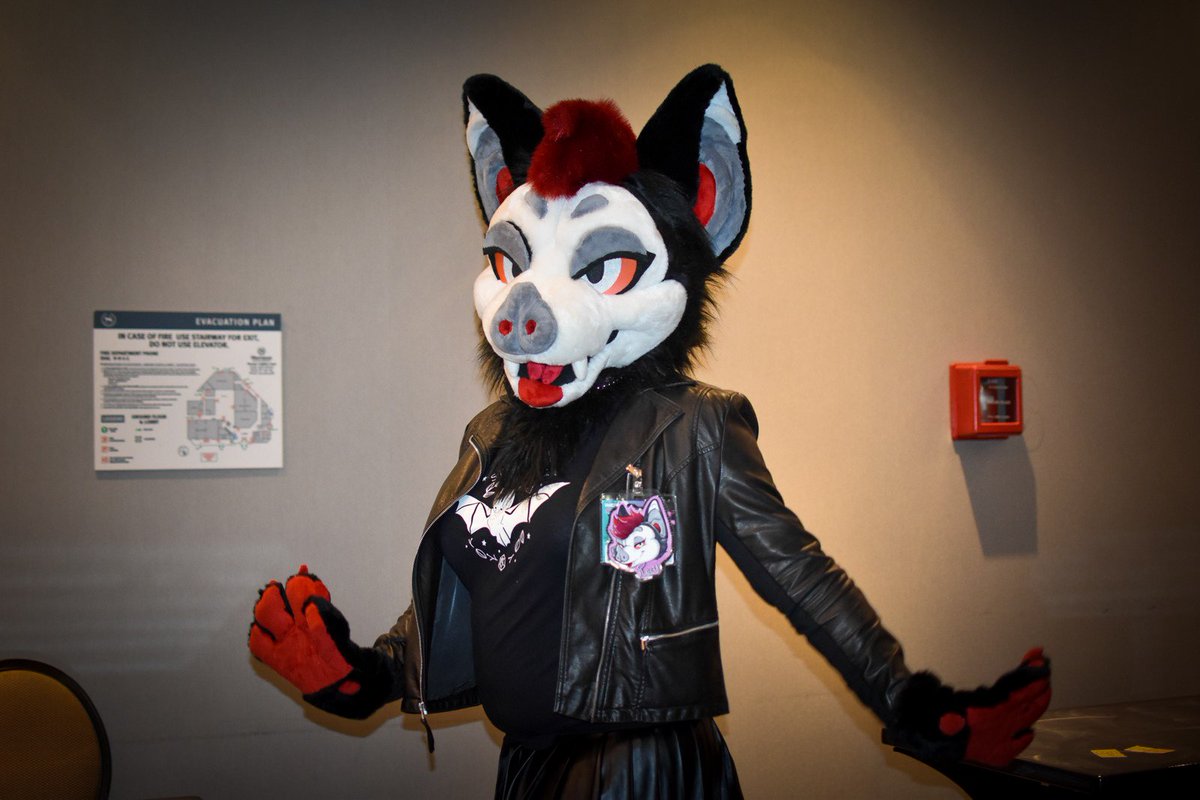 Roxy_Bat's tweet photo. The #asianphotobooth never fails to capture this bat's pretty side, don't you think?
#Vancoufur2020 #FursuitFriday https://t.co/zUqEOJt4aQ