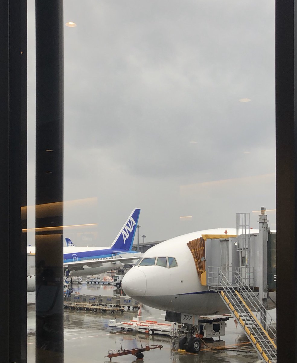 今日からカンクン・ニューヨークへ
現状をお伝えしていきたいと思います✈︎
#海外旅行　#旅行　#メキシコ　#カンクン　#アメリカ　#ニューヨーク