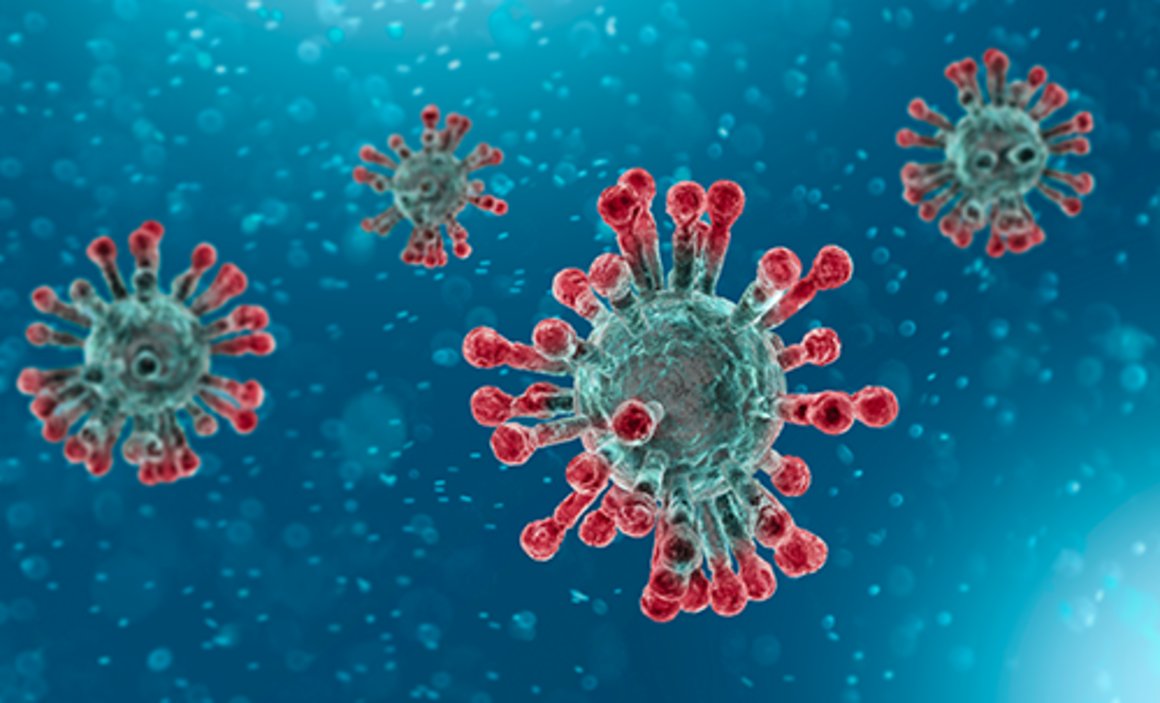 CORONAVIRUS (COVID-19) POSTER DOWNLOADS
butcheryexcellence.com/coronavirus-co…