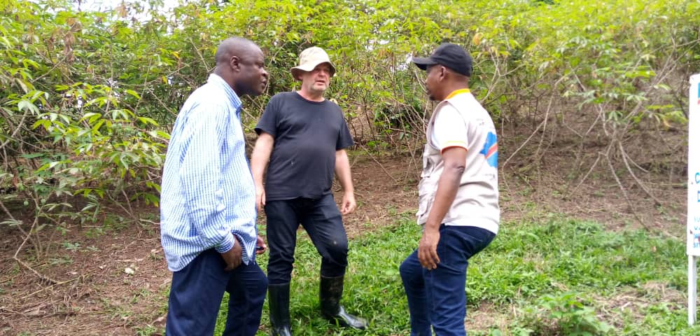 ClerisseC's tweet photo. 🌟🇨🇩🌠Bunyakiri: soil science in action 🌟🇨🇩🌠 
Learning by doing! "Our strong committed senior research scientists our strength" Long live to @IITA_CGIAR  &amp; Our hub director @BVanlauwe  as well as Prof Bruno Delvaux
@CIALCA_R4D @CizaNeneth @kslopez77  @ACAI_IITA @NteranyaS https://t.co/AuW8nkeSSN