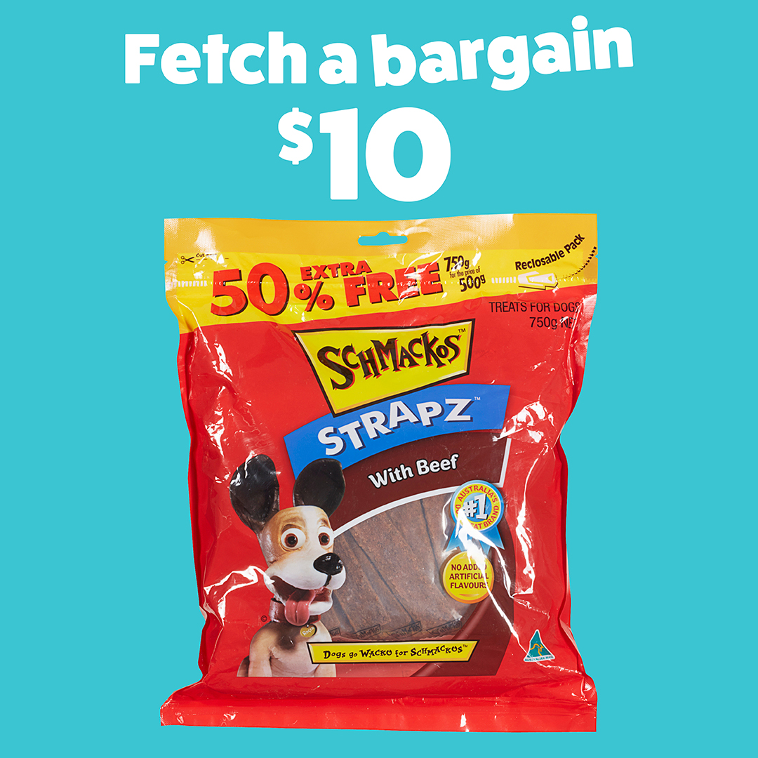 The Reject Shop tweet media