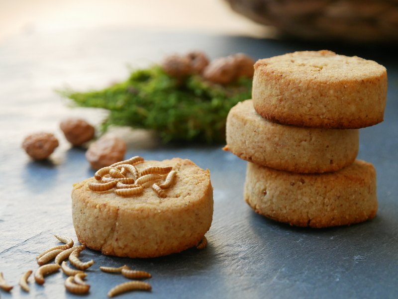 Tiger nut cookies with buffaloworm flour - packed with protein, sugar free and delicious 💪

#edibleinsects #insektenessen #foodinsects #healthyfood #tigernut #protein #futurefood #sustainablefood #buffaloworm