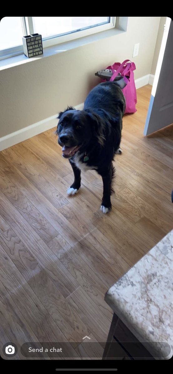 NDSU Research & Tech Park tweet media